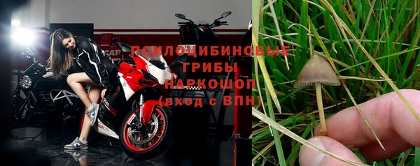 винт Балахна