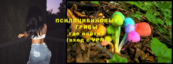 винт Балахна