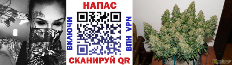 МАРИХУАНА Amnesia Снежногорск